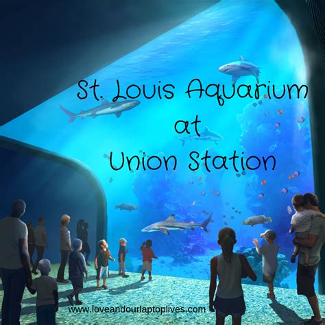 St. Louis Aquarium at Union Station .